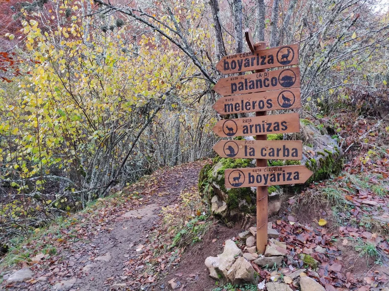 Información turística